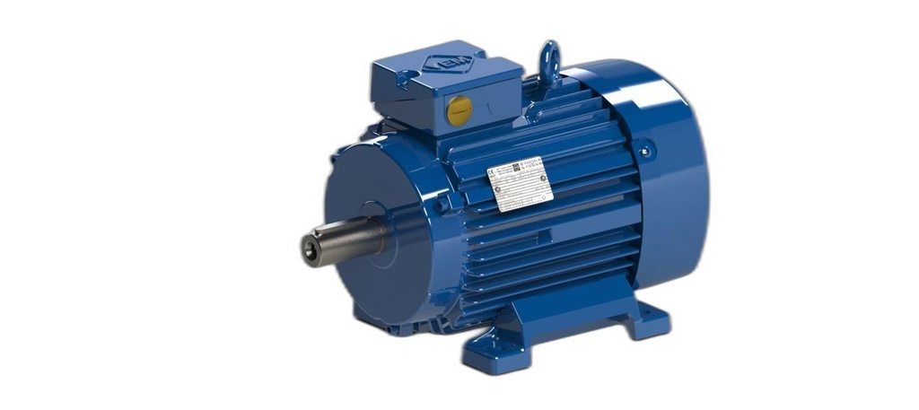 IE5-PS2R 100 L 4 H TPM140