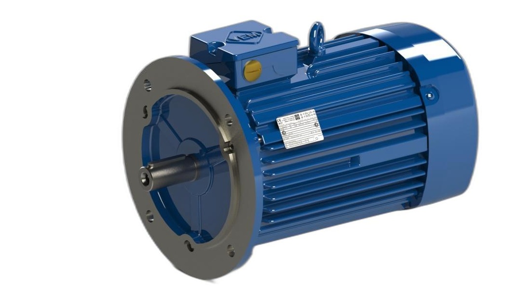 IE3-W41R 100 L 2 H TPM140 FDS DOD
