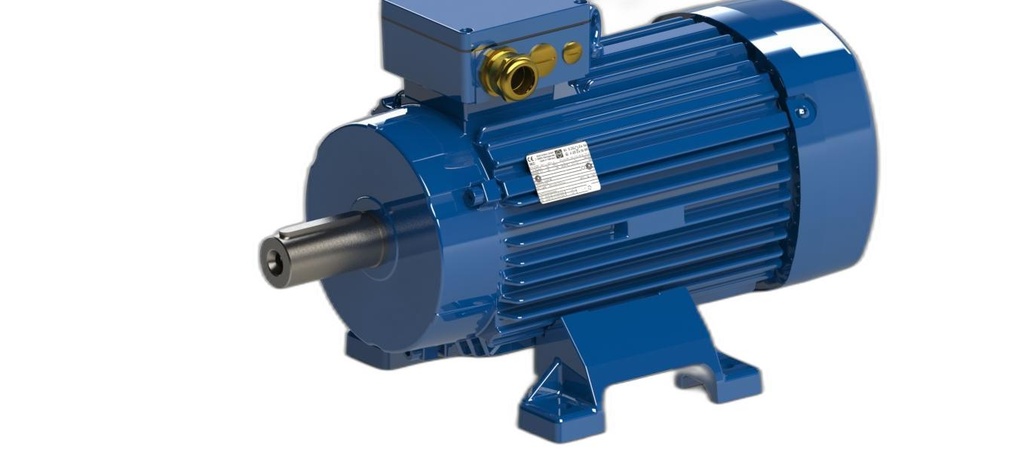 IE5-PS1R 132 S 4 T H TPM140 FNS-K