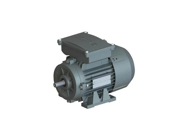 MS22D 100 L 4b