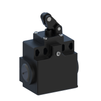 DP1T30W02