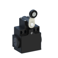 DP1T41W02