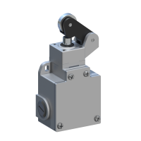 CM1E32W20