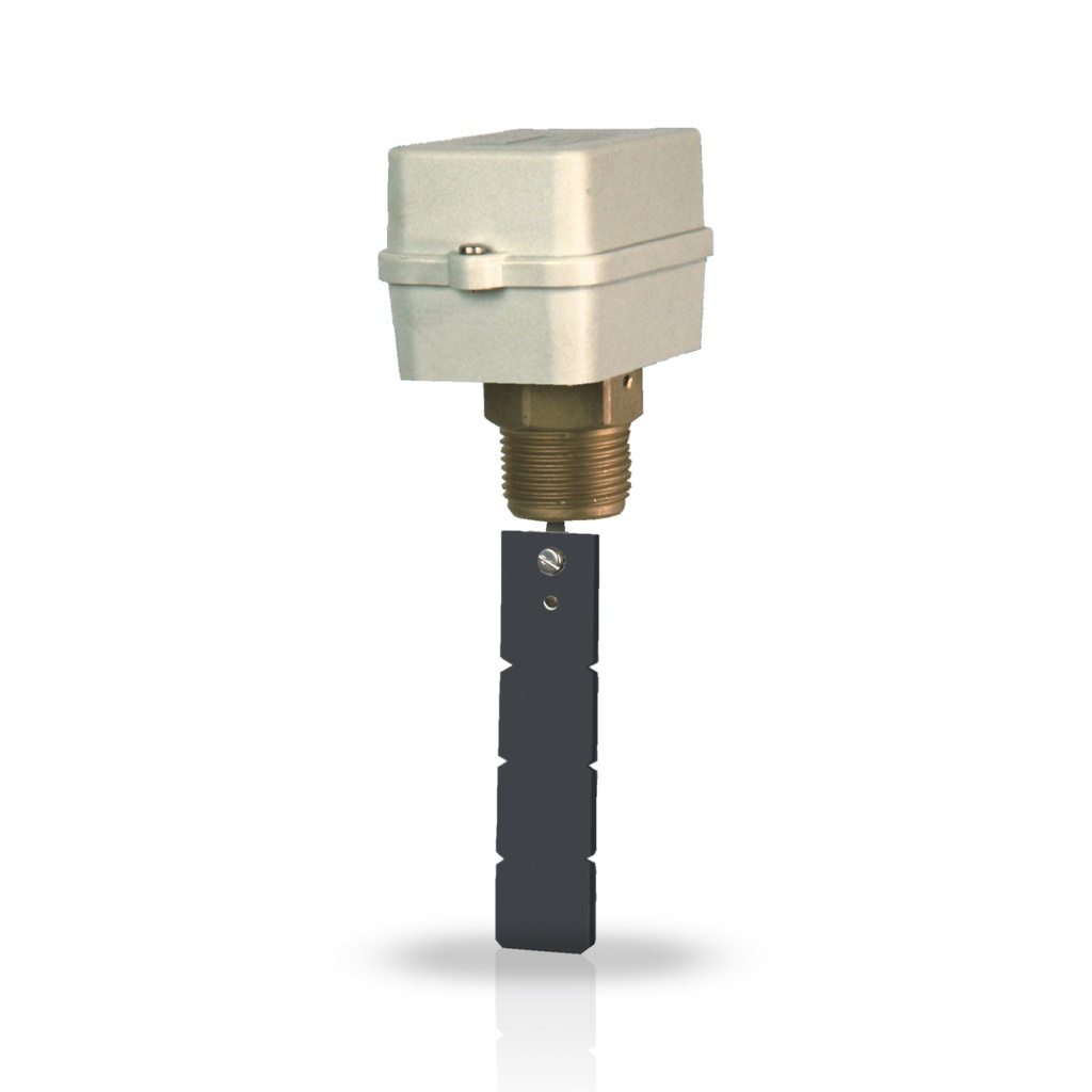 FF81P