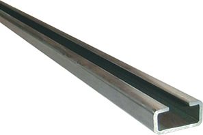 TS1