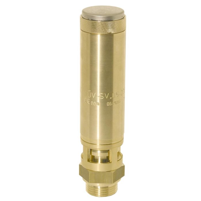 SV110024