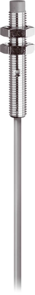 DCC 08 M 06 POLK