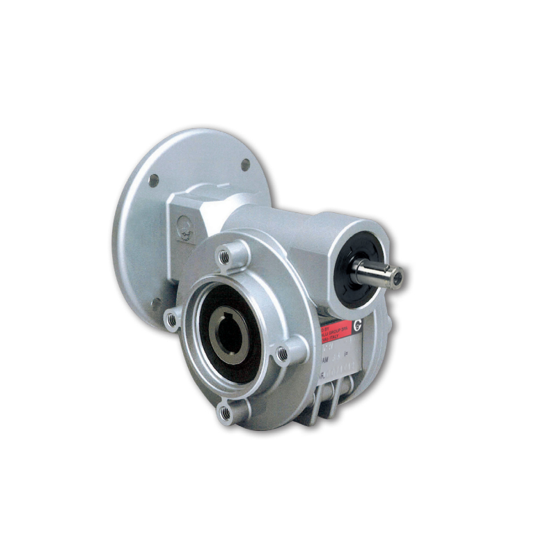 CHE 04P-7 PAM71 worm