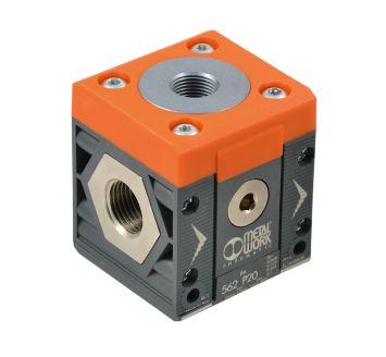 RIEGLER - 5623P203