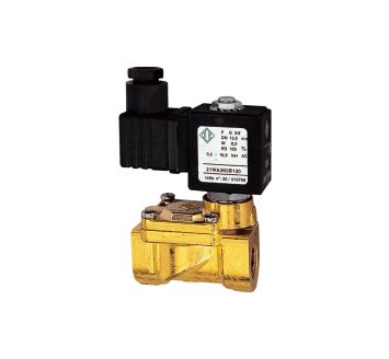 RIEGLER - MV 1359