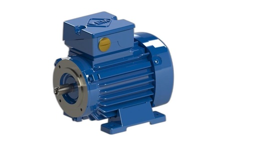 VEM MOTOR - IE3-W42R 71 K 2 H