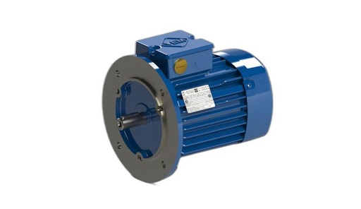 VEM MOTOR - K21R 80 G 8-4 L HL H