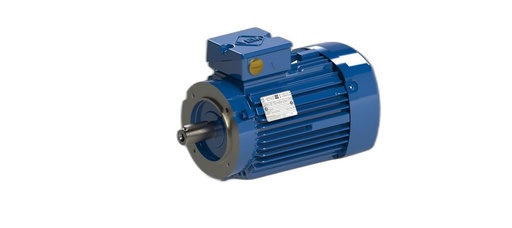 VEM MOTOR - IE3-W42R 90 S 2 H TPM140
