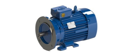 VEM MOTOR - IE3-W41R 90 SY 4 H TPM140