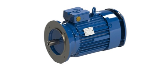 VEM MOTOR - IE3-W41R 90 S 2 H TPM140 FDS DOD