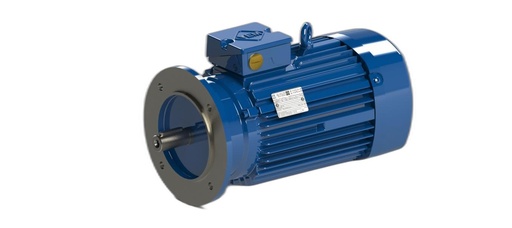 VEM MOTOR - IE3-W41R 90 L 2 H TPM140 FDS DOD