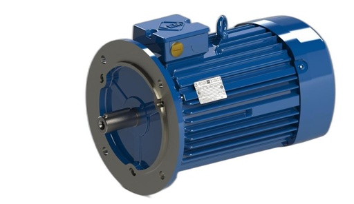 VEM MOTOR - IE3-W41R 100 L 2 H TPM140 FDS DOD
