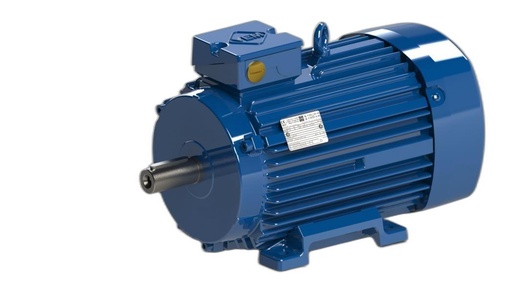 VEM MOTOR - IE3-W41R 100 LX 6 H TPM140