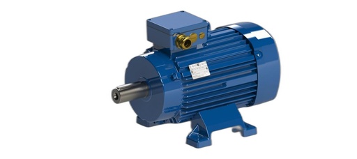 VEM MOTOR - IE5-PS1R 132 SY 4 T H TPM140 FNS-K