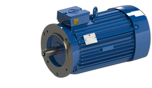 VEM MOTOR - IE3-W41R 100 L 4 H TPM140