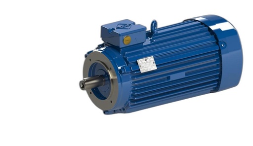VEM MOTOR - IE3-W41R 100 LZ 4 H TPM140