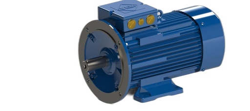 VEM MOTOR - IE3-W41R 132 S 6 H TPM140