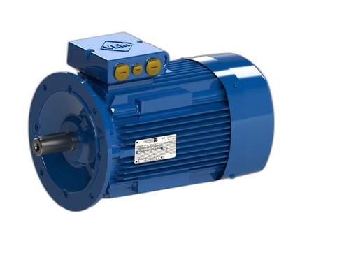 VEM MOTOR - IE3-W43R 180M 4 TPM HW