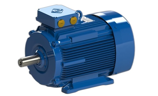 VEM MOTOR - K21R 180L 6-4 L TPM HW