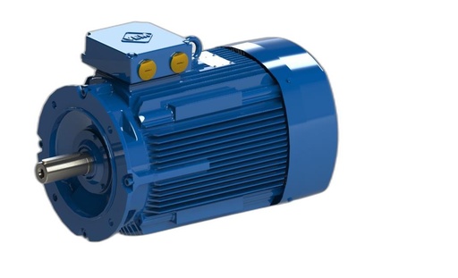 VEM MOTOR - IE3-W43R 180L 4 TPM HW