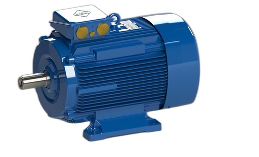VEM MOTOR - IE3-W43R 225S 8 TPM HW
