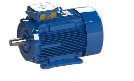 VEM MOTOR - IE3-W43R 200L 4 TPM HW