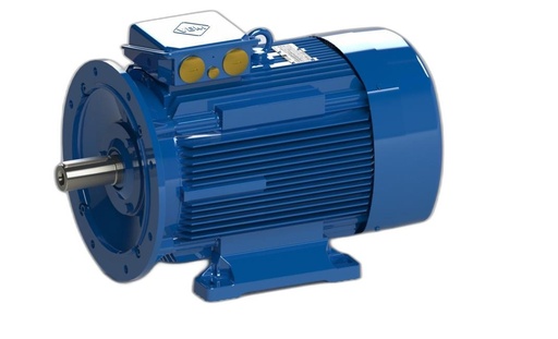VEM MOTOR - IE3-W43R 225M 4 TPM HW