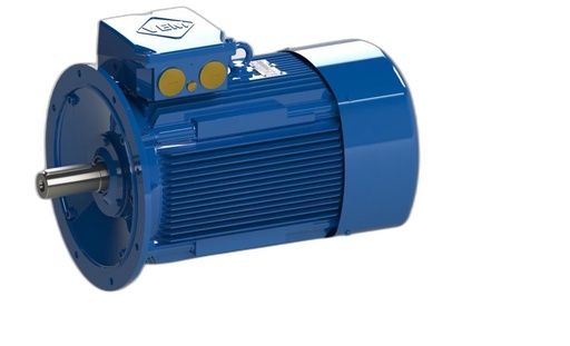 VEM MOTOR - IE3-W43R 250M 4 LL TPM HW