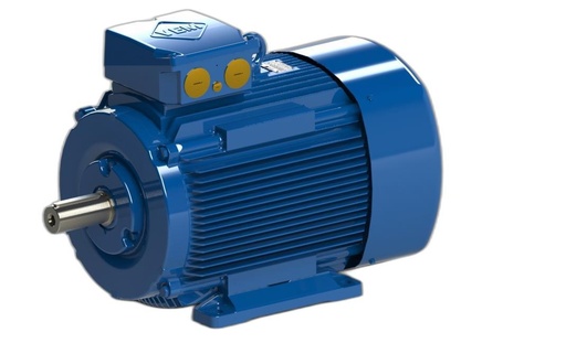 VEM MOTOR - IE3-W43R 250M 6 LL TPM HW