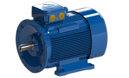 VEM MOTOR - IE3-W41R 250M 6 ST LL TPM HW