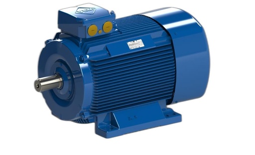 VEM MOTOR - IE4-W61R 315MY4 LL NS TPM HW
