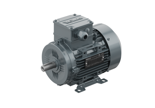ELK MOTOR - 3EL063M2B