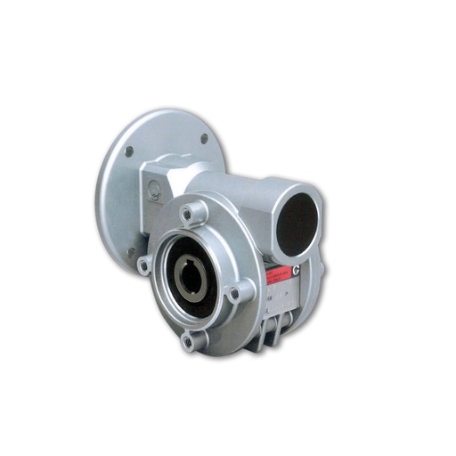 CHIARAVALLI - CH 05P-7 PAM71 worm