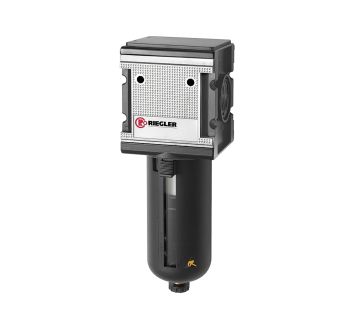 RIEGLER - F 45 S