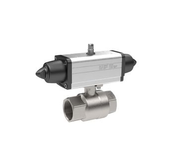 RIEGLER - 351.309-1