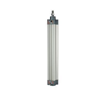 RIEGLER - 5.DMD.50100