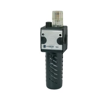 RIEGLER - L 55 S