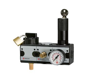 RIEGLER - WS 1002
